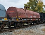 CIGX 805249